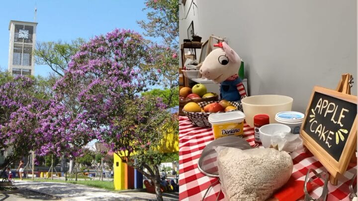 Cidade gaúcha tem escola pública que alfabetiza crianças em português e inglês