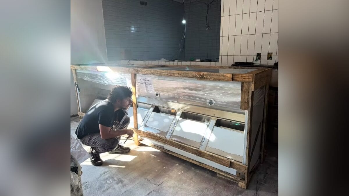 Como &eacute; a casa de Daphne Bozaski, a Luc&eacute;lia de Tr&ecirc;s Gra&ccedil;as 