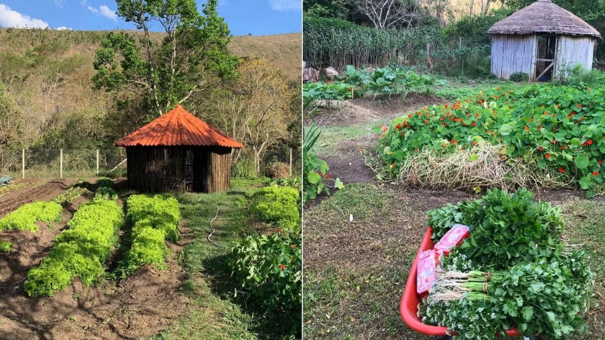 Fazendeiro na vida real e em 'Renascer': veja como &eacute; a propriedade de Marcos Palmeira no Rio