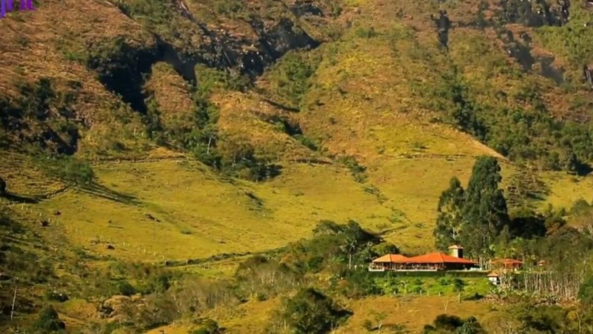 Fazendeiro na vida real e em 'Renascer': veja como &eacute; a propriedade de Marcos Palmeira no Rio