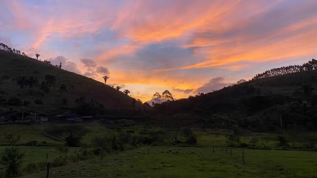 Fazendeiro na vida real e em 'Renascer': veja como &eacute; a propriedade de Marcos Palmeira no Rio