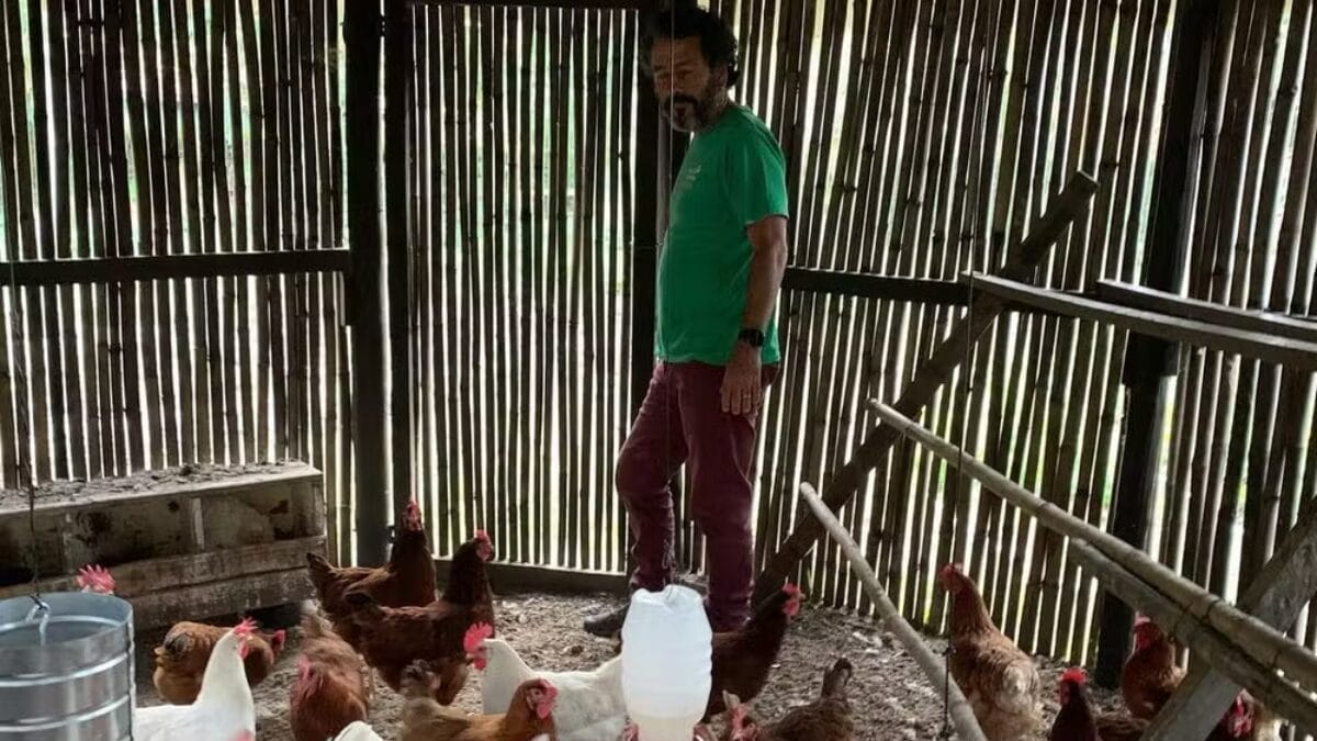 Como &eacute; a casa de Marcos Palmeira, ator que faz o Joaquim de Tr&ecirc;s Gra&ccedil;as