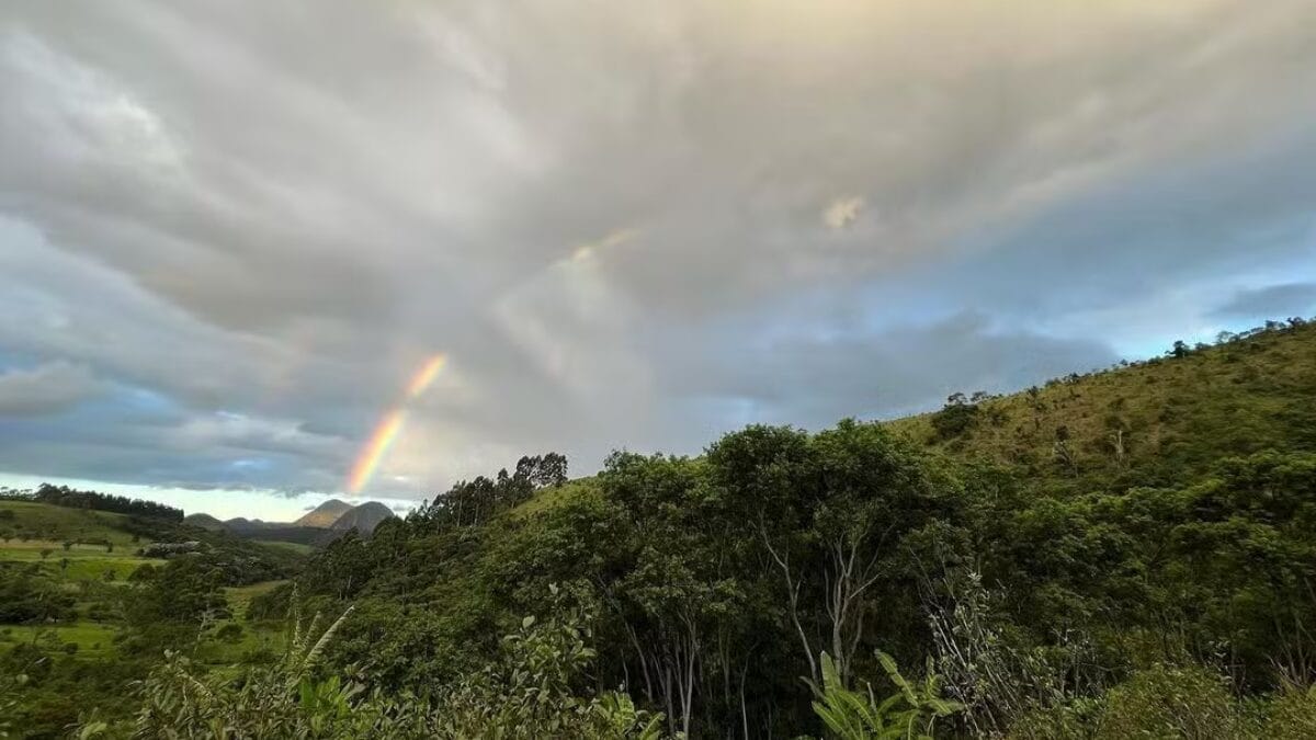 Fazendeiro na vida real e em 'Renascer': veja como &eacute; a propriedade de Marcos Palmeira no Rio