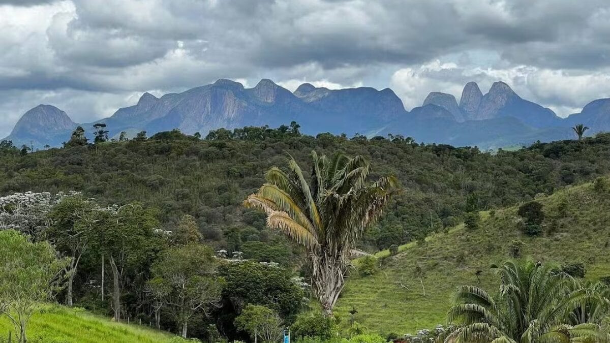 Fazendeiro na vida real e em 'Renascer': veja como &eacute; a propriedade de Marcos Palmeira no Rio