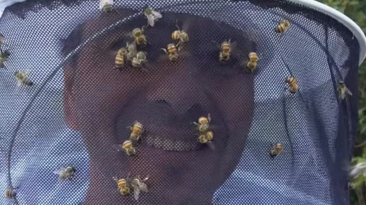 Como &eacute; a casa de Marcos Palmeira, ator que faz o Joaquim de Tr&ecirc;s Gra&ccedil;as