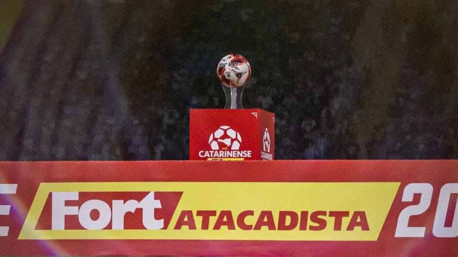 Catarinense teve a última rodada da primeira fase (Foto: Fabiano Rateke, Avaí)