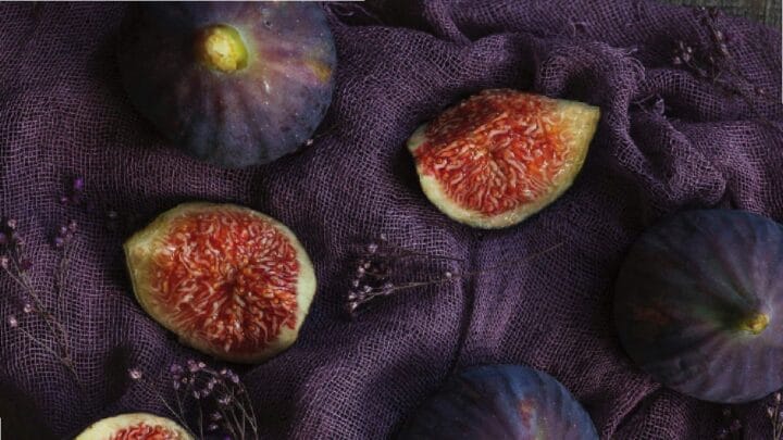 O curioso caso da planta que não é fruta e nem planta carnívora (Foto: Banco de Imagens)