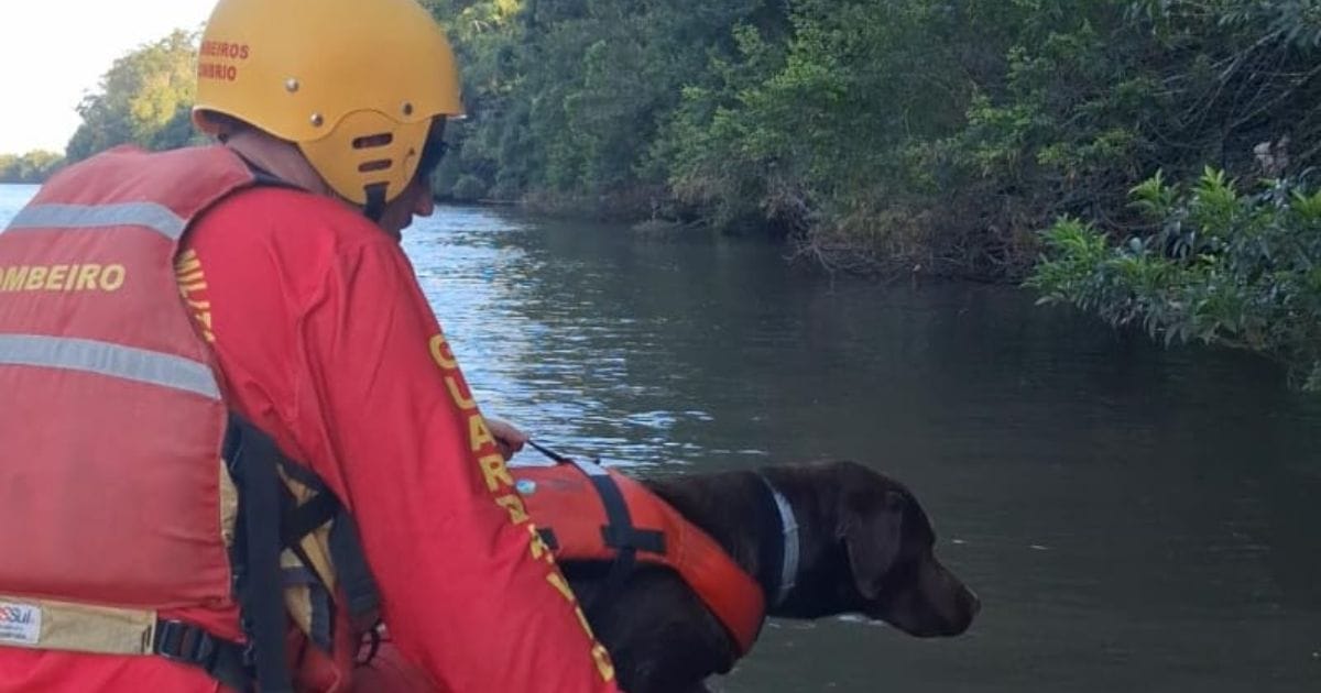Bombeiro e cão dentro de um bote no Rio Araranguá
