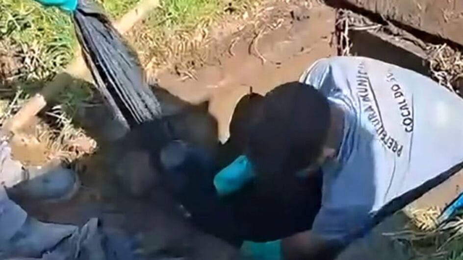 Remoção da lona de 30 metros da boca de lobo