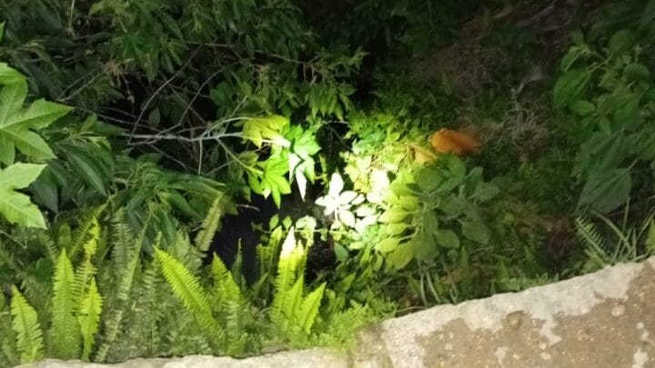 Local em que mulher foi encontrada morta