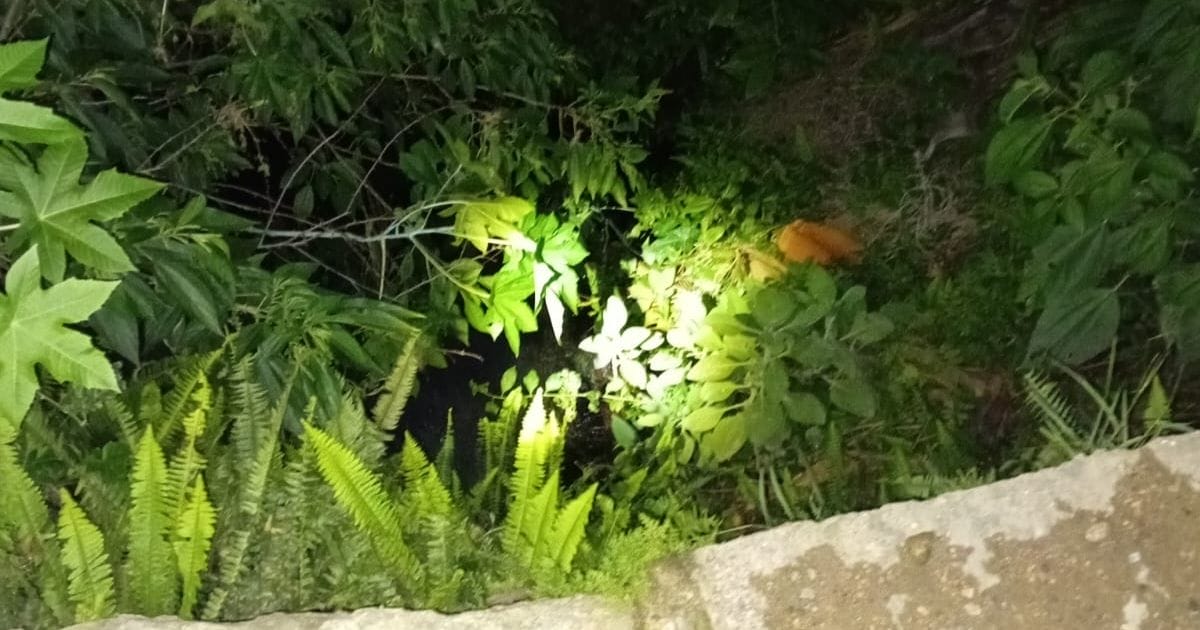 Local em que mulher foi encontrada morta