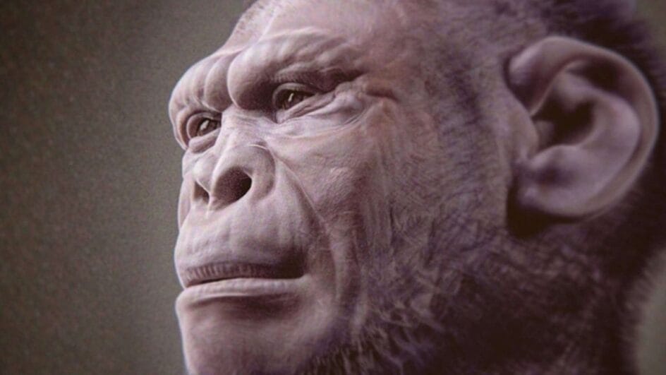 Cientistas encontram o esqueleto mais completo de um ancestral humano e desafiam teorias antigas sobre a evolução (Foto: Reprodução/Wikimedia Commons)