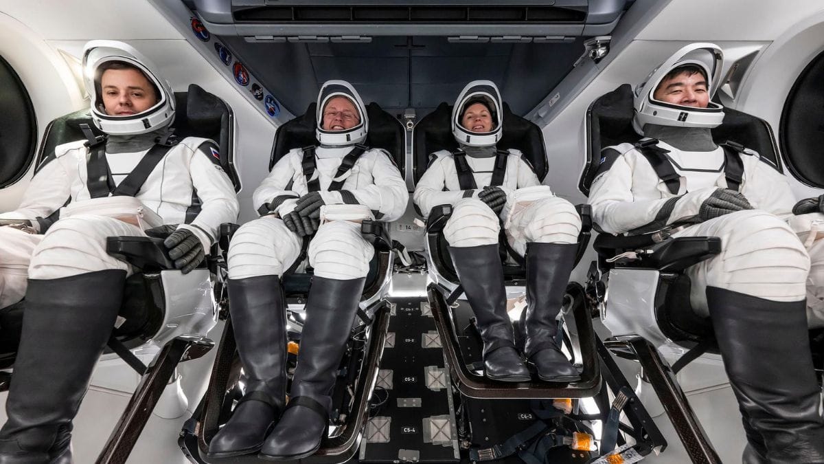 Tripulação da missão Crew-11 (Foto: NASA, divulgação)