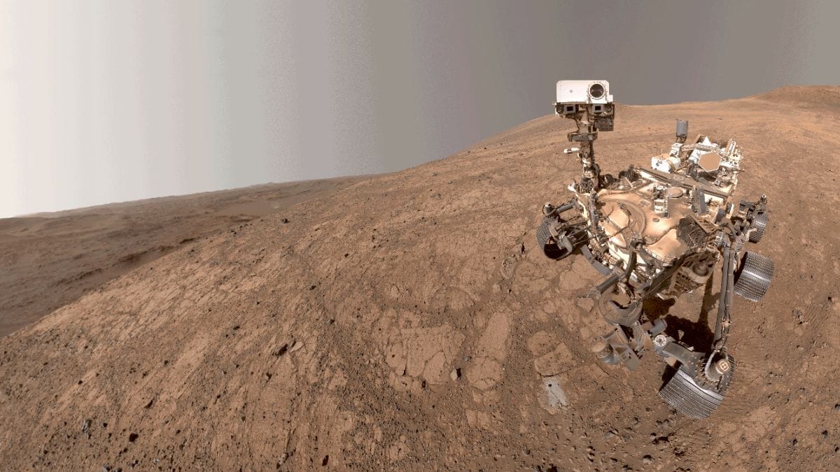 Robô Perseverance, da NASA, em Marte (Foto: NASA, reprodução)