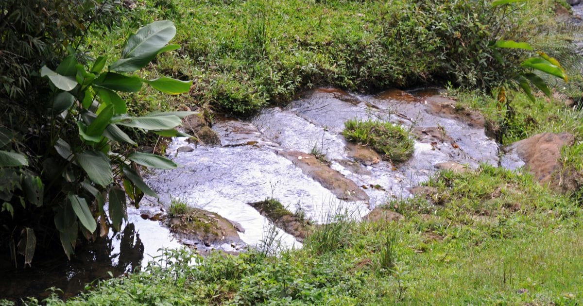 Parque Estadual da Serra Furada