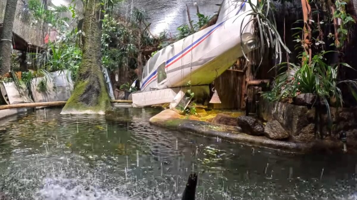 Zoológico de Jihlava