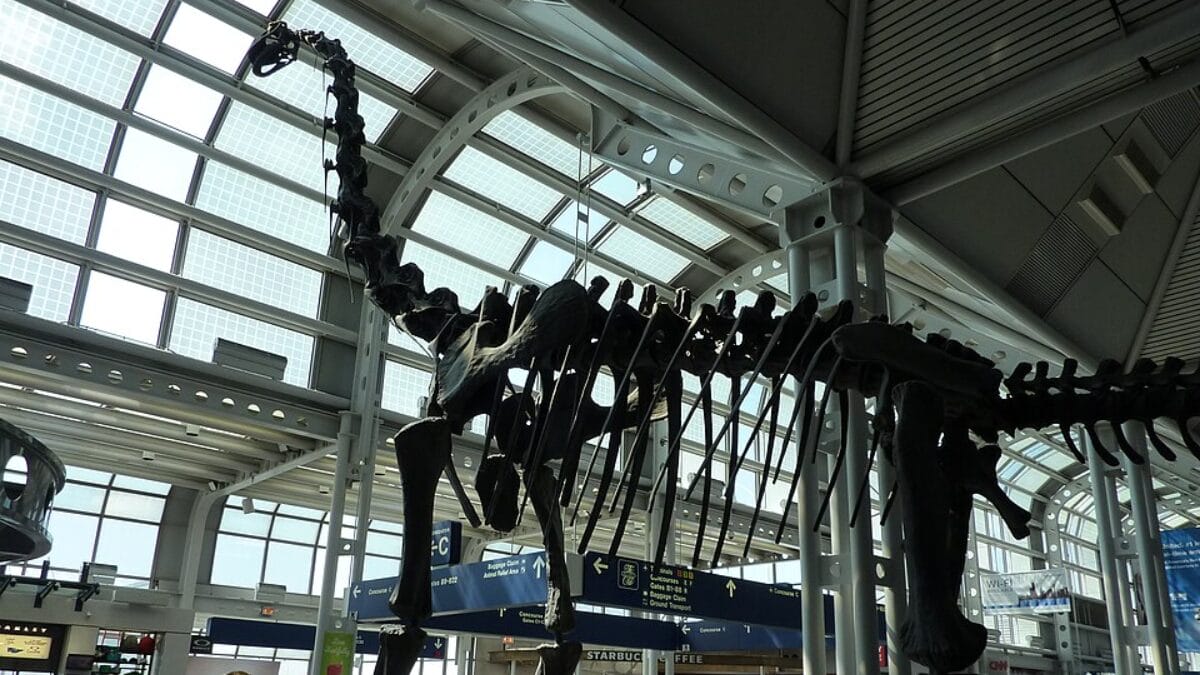 Um esqueleto gigantesco de dinossauro (Braquiossauro) montado em pé dentro do terminal do aeroporto. O esqueleto é escuro e contrasta com a estrutura branca e envidraçada do teto e das paredes ao fundo. O pescoço do dinossauro se estende até o teto alto, dominando o espaço acima dos viajantes.