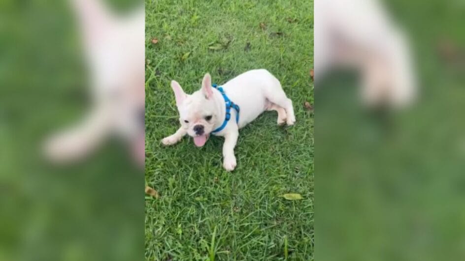 Família é natural do Rio de Janeiro (Foto: Ana Beatriz Teodoro, Arquivo Pessoal)