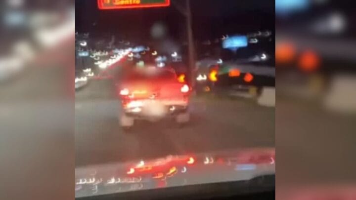 Transporte ilegal foi flagrado em Florianópolis (Foto: PMRv, Reprodução)