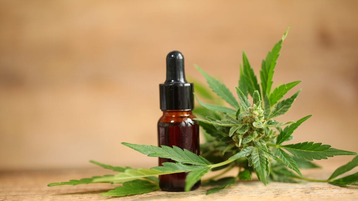 Medida deve afetar todos os pacientes que dependem do óleo de cannabis (Foto: Banco de Imagens)