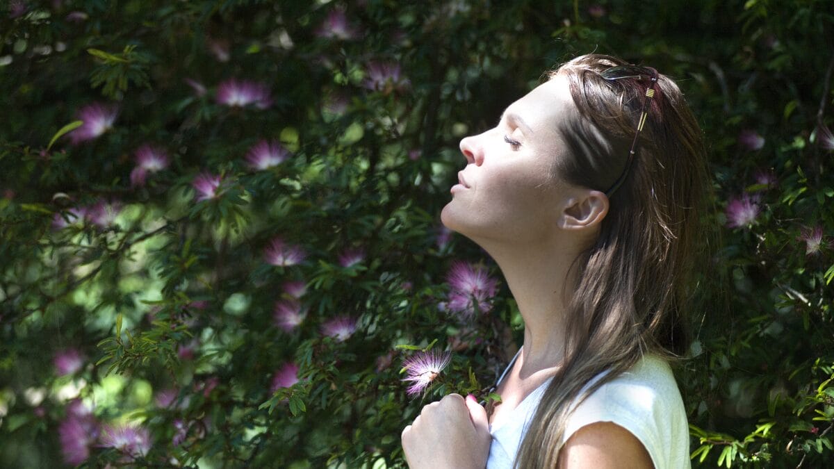 Pessoa em meio à vegetação observa flores rosadas em um jardim natural. A luz filtrada pelas folhas cria uma atmosfera suave, de conexão com a natureza e delicadeza.