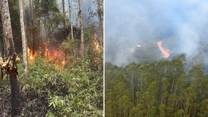 Incêndio Florestal em Camboriú