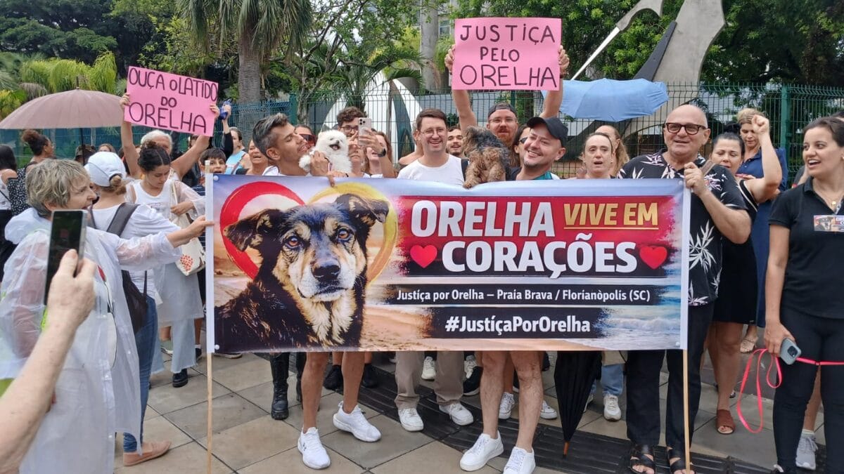 Manifestantes seguravam um cartaz com os dizeres "Orelha vive em corações" (Foto: André Lux, NSC TV)