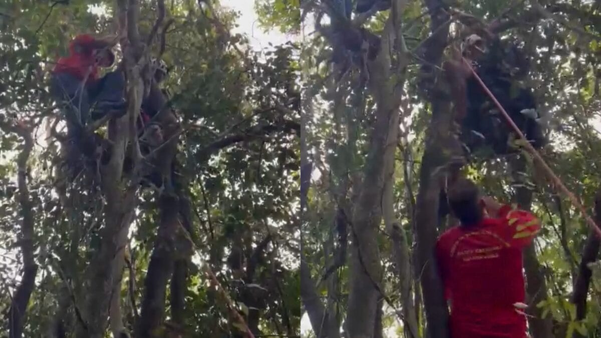 Queda de parapente mobiliza Corpo de Bombeiros Militar de Santa Catarina em Itajaí