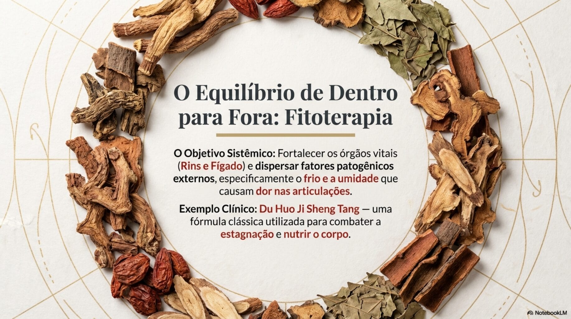 principais t&eacute;cnicas da medicina tradicional chinesa para dor no pesco&ccedil;o