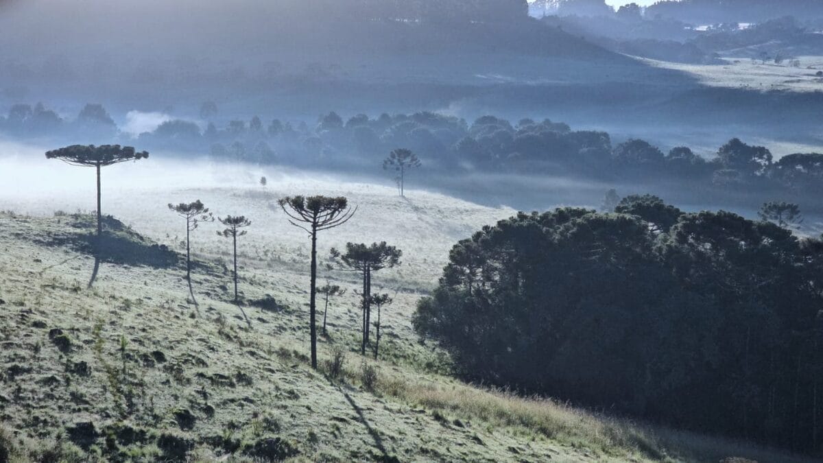 Vale dos Caminhos da Neve coberto por geada no dia 5 de janeiro de 2026