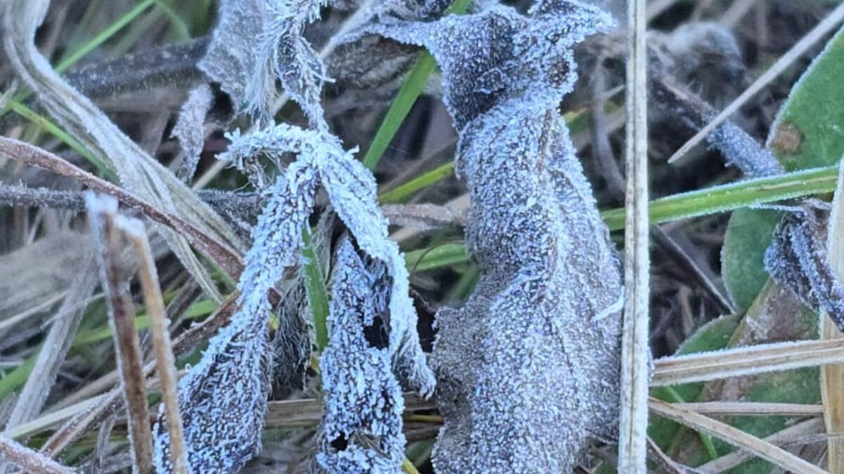 Vale dos Caminhos da Neve coberto por geada no dia 5 de janeiro de 2026