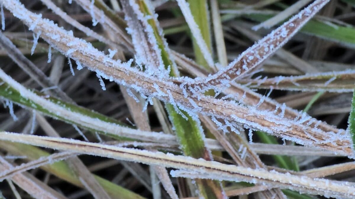 Vale dos Caminhos da Neve coberto por geada no dia 5 de janeiro de 2026