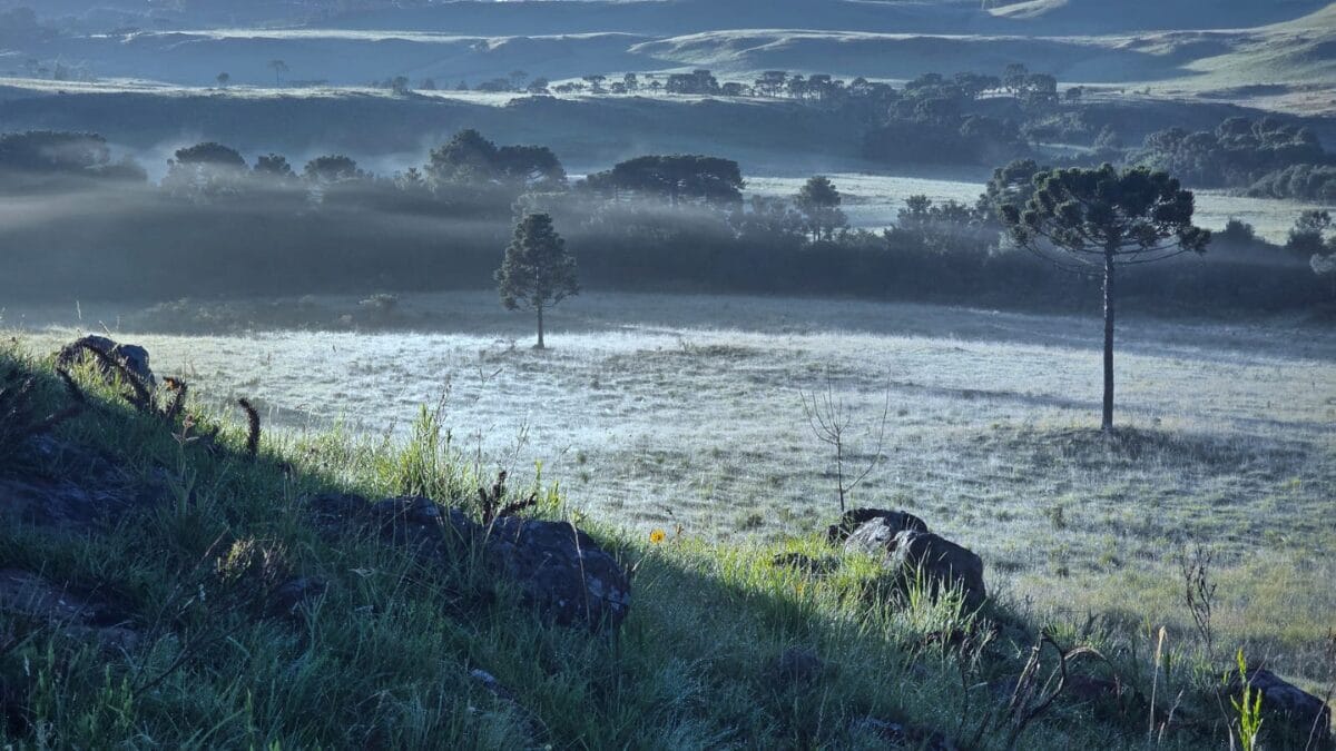 Vale dos Caminhos da Neve coberto por geada no dia 5 de janeiro de 2026