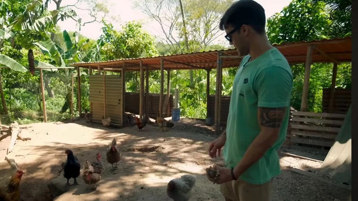 sitio daniel cady ex marido ivete sangalo