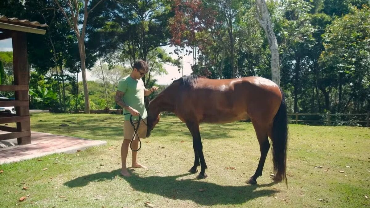 sitio daniel cady ex marido ivete sangalo