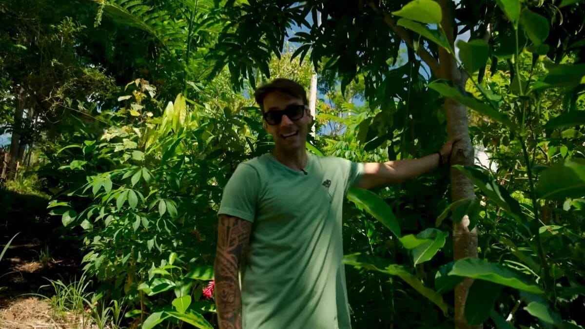 sitio daniel cady ex marido ivete sangalo