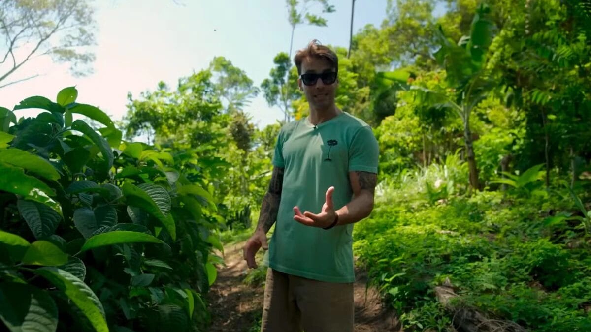 Daniel Cady gesticula com as m&atilde;os abertas enquanto caminha por uma trilha de terra, ladeada por diversas plantas e &aacute;rvores frut&iacute;feras em seu s&iacute;tio.