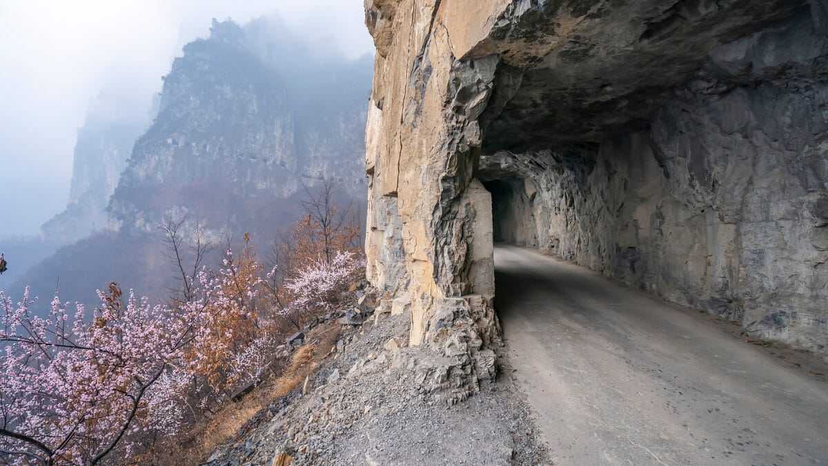 Estrada de asfalto estreita entrando em uma abertura na montanha. &Agrave; esquerda, &aacute;rvores com flores rosadas contrastam com o cinza das rochas e o nevoeiro ao fundo.