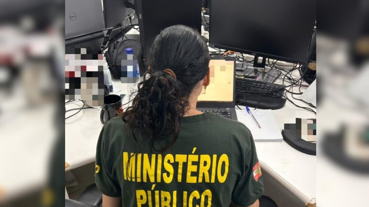 opera&ccedil;&otilde;es Sodalitas Finis e Bow Tie