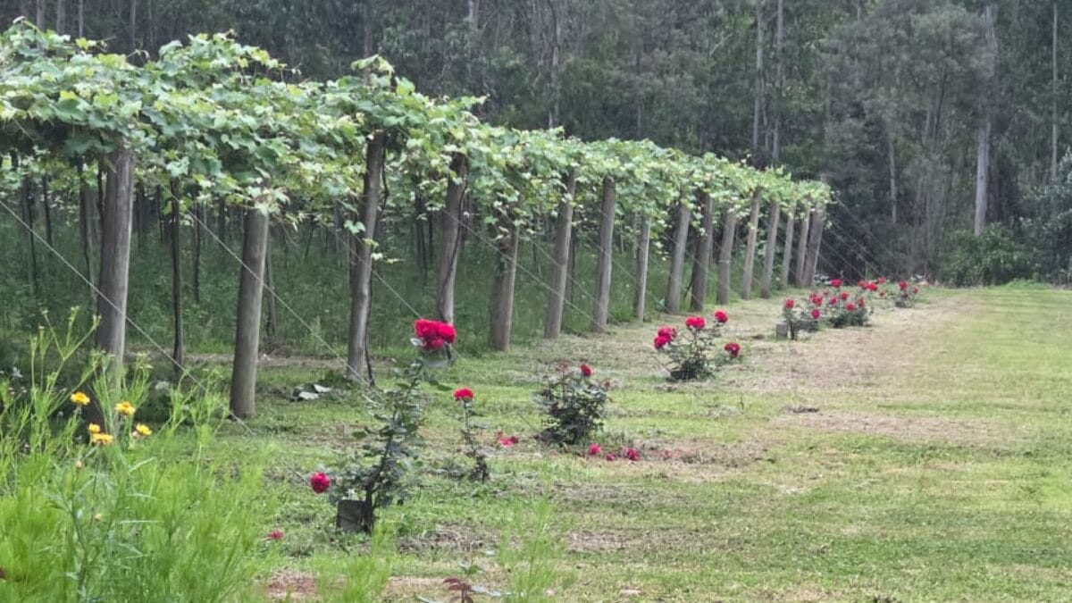 S&iacute;tio 3 Quedas