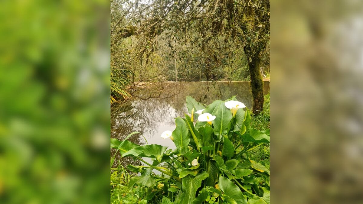 S&iacute;tio 3 Quedas