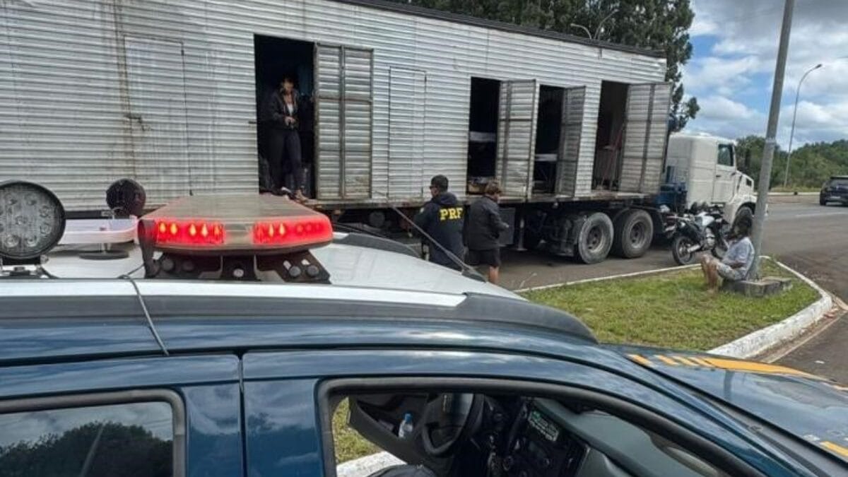 Trabalhadores na BR-282