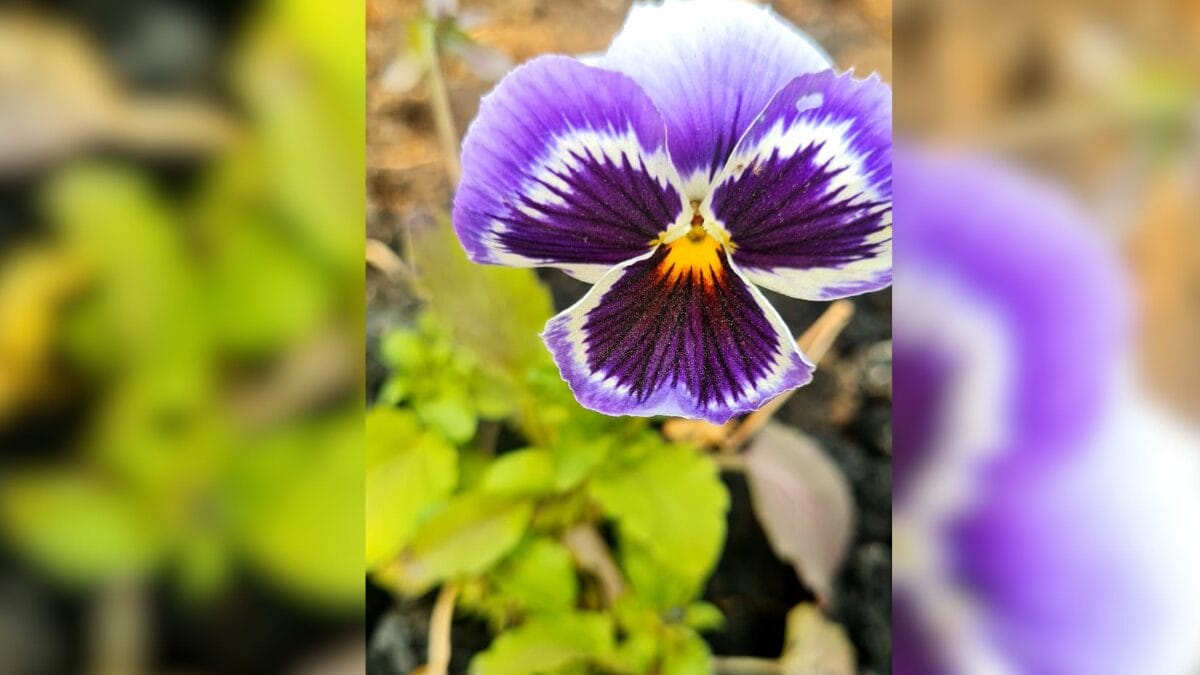 S&iacute;tio 3 Quedas