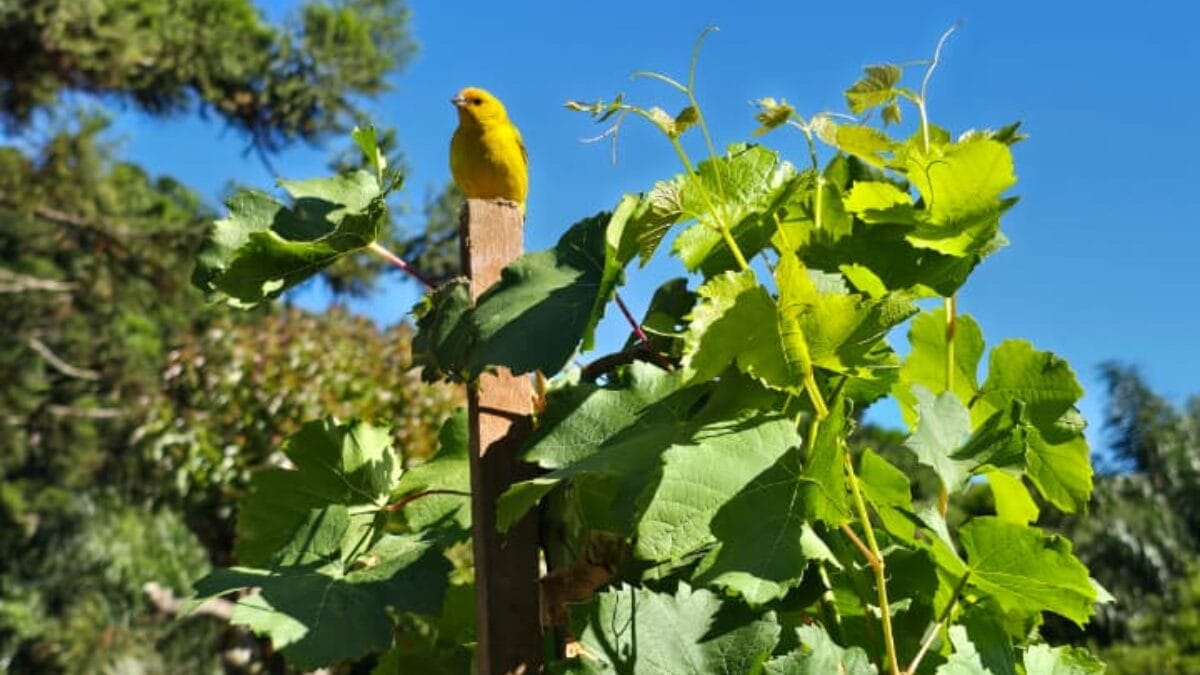 S&iacute;tio 3 Quedas