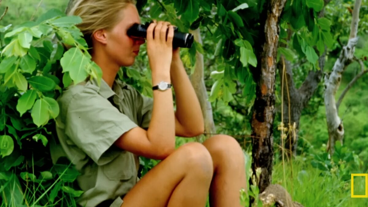 Jane Goodall, jovem, sentada na grama entre folhagens, observando atrav&eacute;s de bin&oacute;culos pretos.