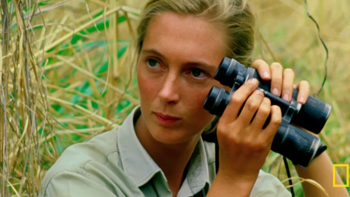 Close-back do rosto de Jane Goodall enquanto ela afasta ligeiramente os bin&oacute;culos para observar algo &agrave; sua frente.