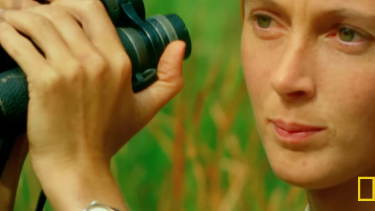 Close lateral extremo do rosto de Jane Goodall, focando em seu olho e na m&atilde;o segurando o bin&oacute;culo.