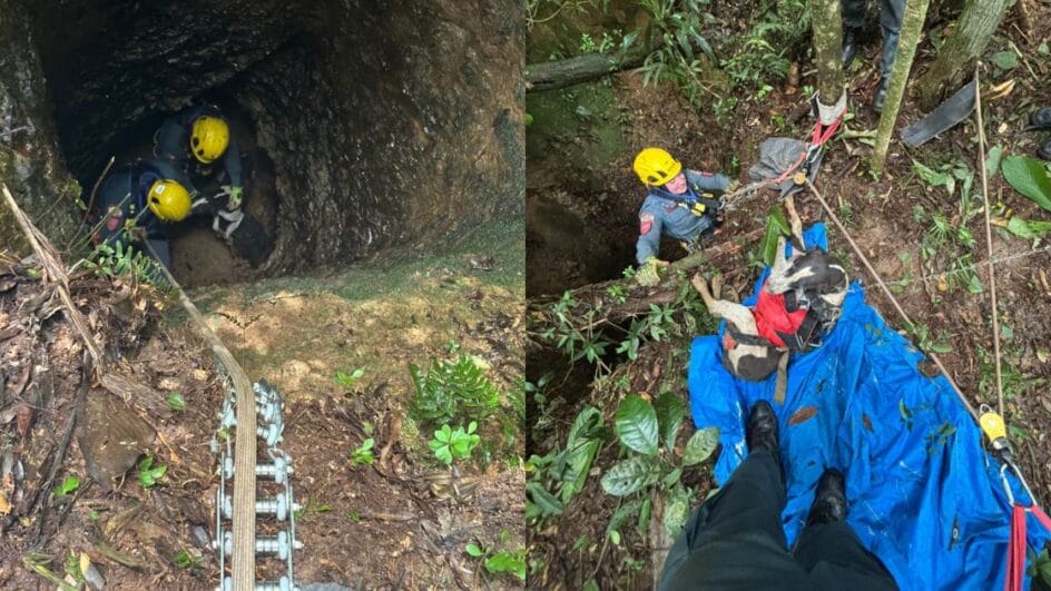 Bombeiros resgatam cães dentro de buraco