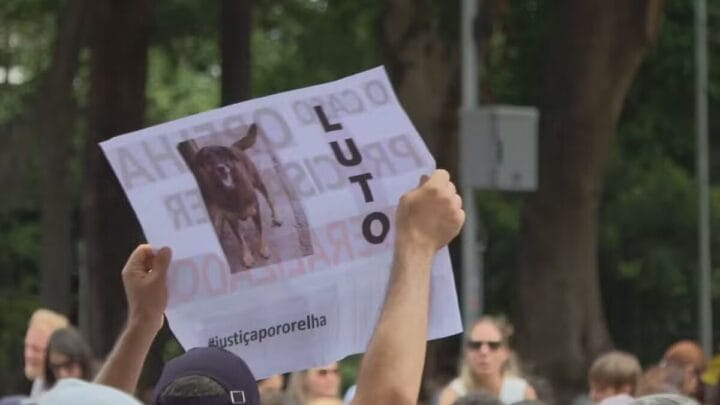 Caso Orelha mobiliza manifestação em Florianópolis (3)