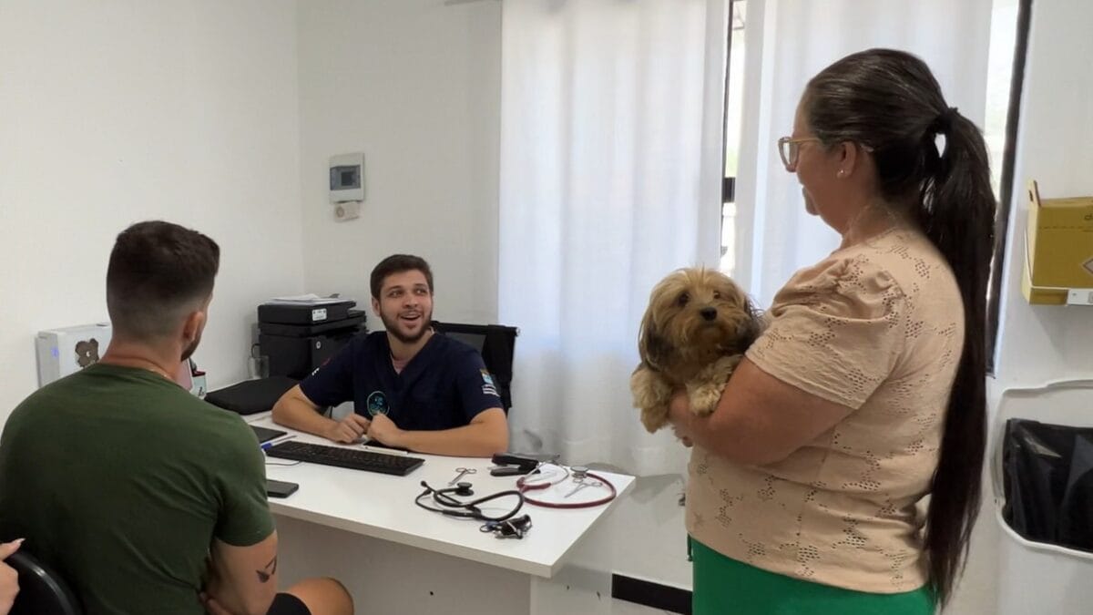 O Departamento de Assist&ecirc;ncia e Bem-Estar Animal realizou 28 mil atendimentos em 2025